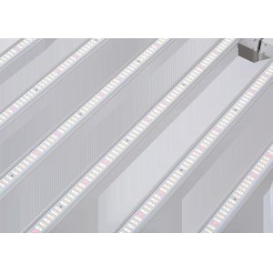 680W Samsung LM301B Horticulture LED Grow Lights