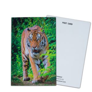 Customize 3D Lenticular Postcards Dinosaur Wild Animals for Zoo Park