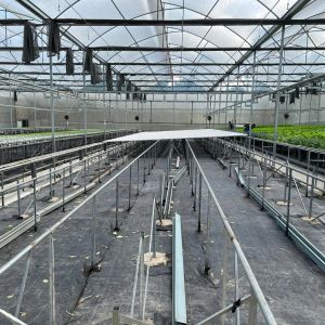 Cooling System Poly Multi Span Greenhouse Automatic For Vegetables