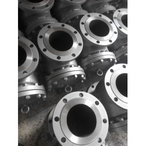 Screwed Swing Check Valve