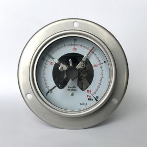 304SS Lower Back Mount Pressure Gauge 40 MPa 100mm Panel Mount