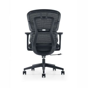 Adjustable Double Back Mid-Back Mesh Office Ergonomic Chair for Modern Office