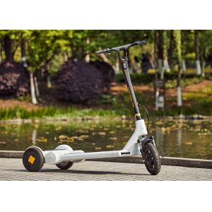 3 Wheel Cool Power Airuide Electric Stand Up Scooter