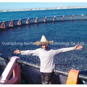 Customization HDPE Fish Farming Net Cage with Knotless Net Bag within Farming
