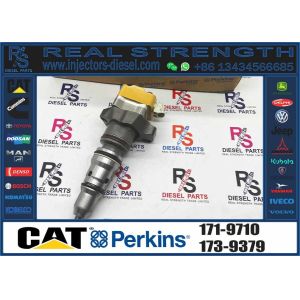 Fuel Injector Assembly 171-9710 232-1173 179-6020 10R-0781 198-6877 10R-1267 169