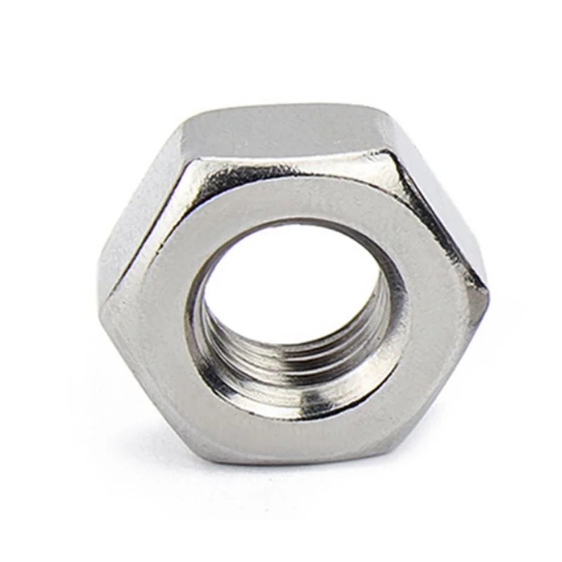Stainless Steel Lock/Nylon Nut 304 Nut
