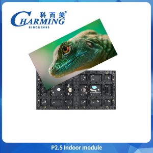 IP50 SMD2020 Indoor Led Wall 3840Hz HD P2 P2.5 P3 P4 P5 Indoor Led Display