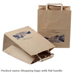 Luxury Paper Gift Bags Paper Carrier Bag Party Bag with Handles,Low Cost Ribbon