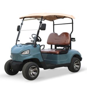 China NL-WB 4 wheel Lithium Ion Golf Cart 2 Passenger Max. Speed 15.5mph 25khp Driving Mileage 70-90km Suitable for Golf Courses on sale
