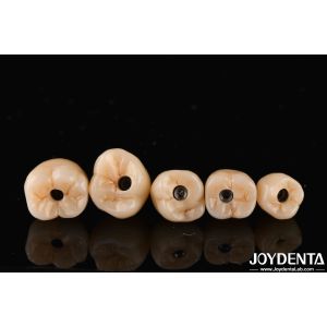 Screw Retetion Titanium Abutments Internal Hex Connection For Dental Implants