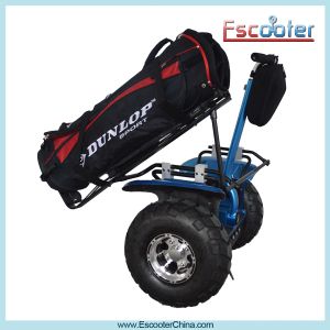 China Nice Appearance Good driving electric scooter price china with remote control on sale