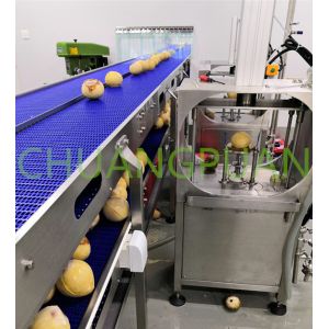 Milk Coconut Processing Machine With 304 Stainless Steel
