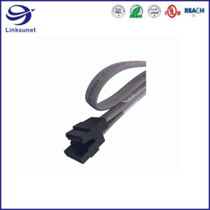 Computer Wire Harness with Server Level Solid State Hard Disk wire SATA Revision