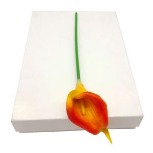 Factory Ningbo fold quality sbs cardboard c1s ivory board for packing