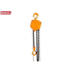 Automatic Double Pawl Braking Chain Block Manual Lifting Chain Hoist Capacity