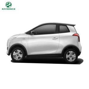 China China Raysince New model 25KW motor 3 door electric car 4 Seat mini electric car for adult on sale