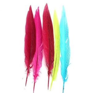 Cheap Shipping Worldwide Silver Pheasant Feather for Carnival Costumes and Party Decoration for sale