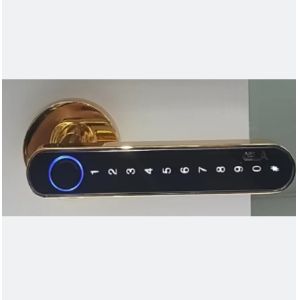 OEM ODM Push Pull Door Lock Digital Wifi Keyless Entry Door Lock