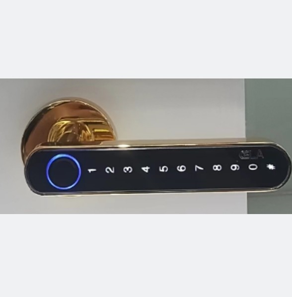 Quality OEM ODM Push Pull Door Lock Digital Wifi Keyless Entry Door Lock wholesale