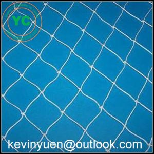 Bird Net-Garden Netting Protection Plant Seedlings