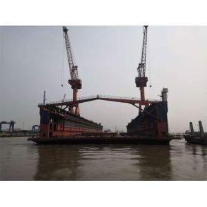 20t~300t Floating Dock Crane Single Arm Design With 20~50m Lifting Height