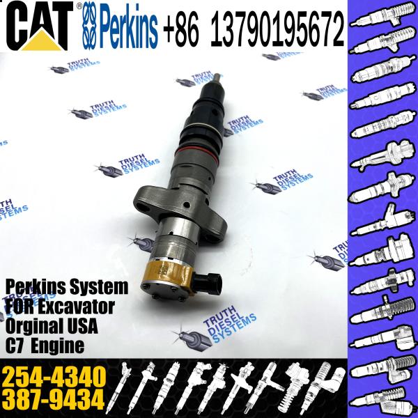 Quality C7 C9 engine fuel pump injector diesel 387-9432 or diesel fuel injector 387-9434 3879432 266-4446 254-4340 wholesale