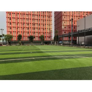 Cheap 55mm Synthetic Artifical Soccer Grass Detex 11000 Good Stiffness for sale