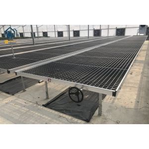 Cheap Solid Greenhouse Plastic Seedling Tray / Rolling Grow Tray With Welding Wire Mesh for sale