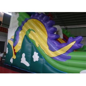 Dragon Trippo Commercial Inflatable Slide With Durable Plato PVC Tarpaulin