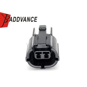 AMP 070 Econoseal 2 pin Tyco Car Connector Black With Terminals