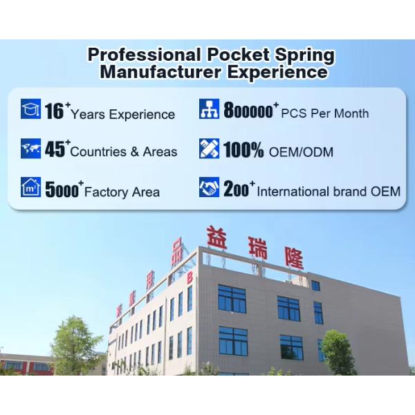 Foshan Pocket Sofa Spring Manufacturers Customized Sofa Pocket Springs