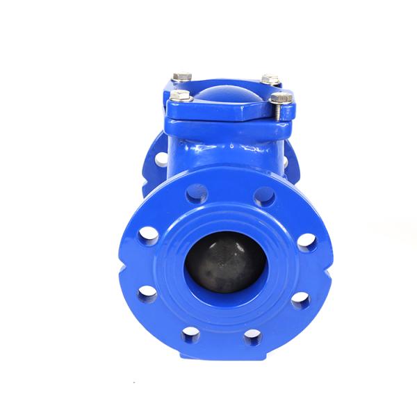 GGG50 Ball Check Valve PN10 PN16 QT450 Non Return Valve Rubber Flap