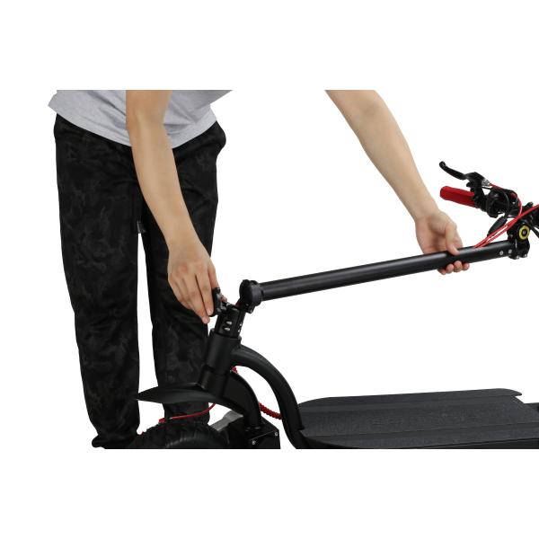 EcoRider E4-9 10 inch Dual Motor 700w Foldable Electric Scooter With Dual Motor And Double Battery