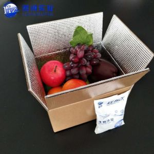 Cheap Insulated Aluminium Foil Packaging Cardboard Box Caviar Chocolate Transport HZ-XPS for sale