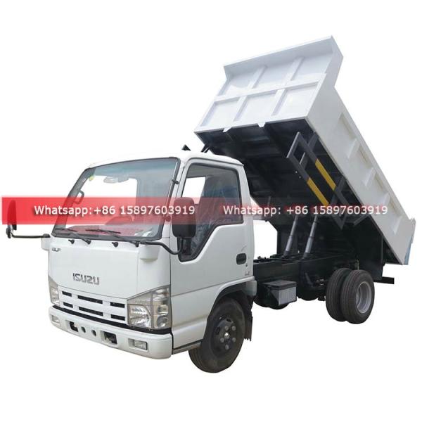 Philippines ISUZU ELF 100P 98HP Euro 4 Diesel Engine Mini 3T 4Tons Dump Truck Car For Sales