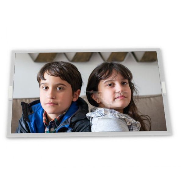 New 6.4-Inch WLED Custom LCD Display Module T-51382D064-FW-P-AB TFT Panel with