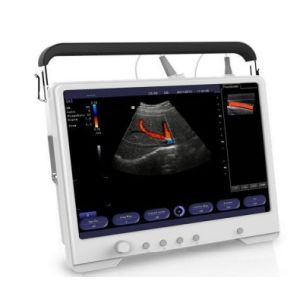 15 Inch LCD Screen 2D Colour Doppler Machine Test Digital With Wide Angle