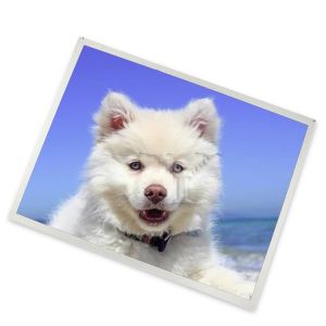 Cheap LTM238HP01 Lcd Module 23.8 Inch 1920*1080 in Stock Lcd Screen Display for sale