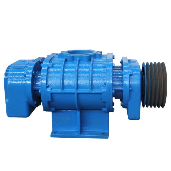 Wide Range Pressure EAC Roots Blower Vacuum Pump
