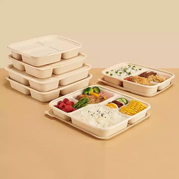 Quality Salad Bio Degradable Food Packaging With Custom Carton Package Microwavable wholesale