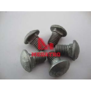 Carriage bolt