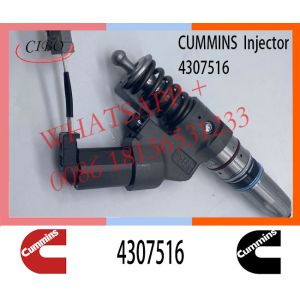 Diesel QSM11 ISM11 M11 Engine Fuel Injector 4307516 4061851
