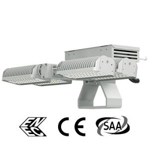 China Professional IP66 Led Sports Field Lights / Lighting 150w on sale
