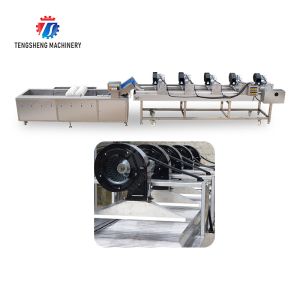 Fruits cleaning and drying production line Fruit Vegetable FOOD processing