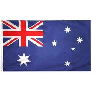 Double Stitching Polyester World Flags 150cmx90cm Indoor State Flag