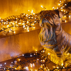 Clear Lens Addressable LED Strip Lights Dimmable IP44 Waterproof 19.7FT Length