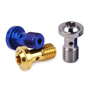 Custom Colorful Umbrella Head Torx Drive Titanium Alloy Motorcycle Screw with
