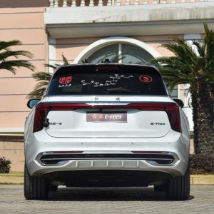 New electric SUV high speed electric Hongqi E-HS9 2021 510km Qichang six-seater