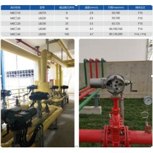 IP66 IP67 IP68 Executing Agency