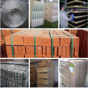 120KW PET Strap Extrusion Machinery for Sheet with Strap Thickness 0.4-1.2mm